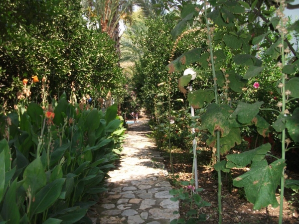 Gelidonya Hotel Bahçe